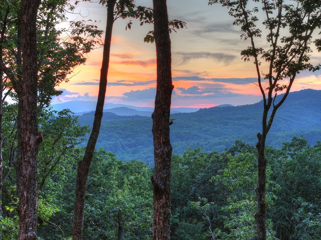 Lot 2 Aubery Ridge, Morganton GA 30560 - Photo