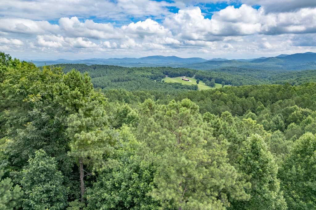 Lot 82 Thirteen Hundred, Blairsville GA 30512 - Photo