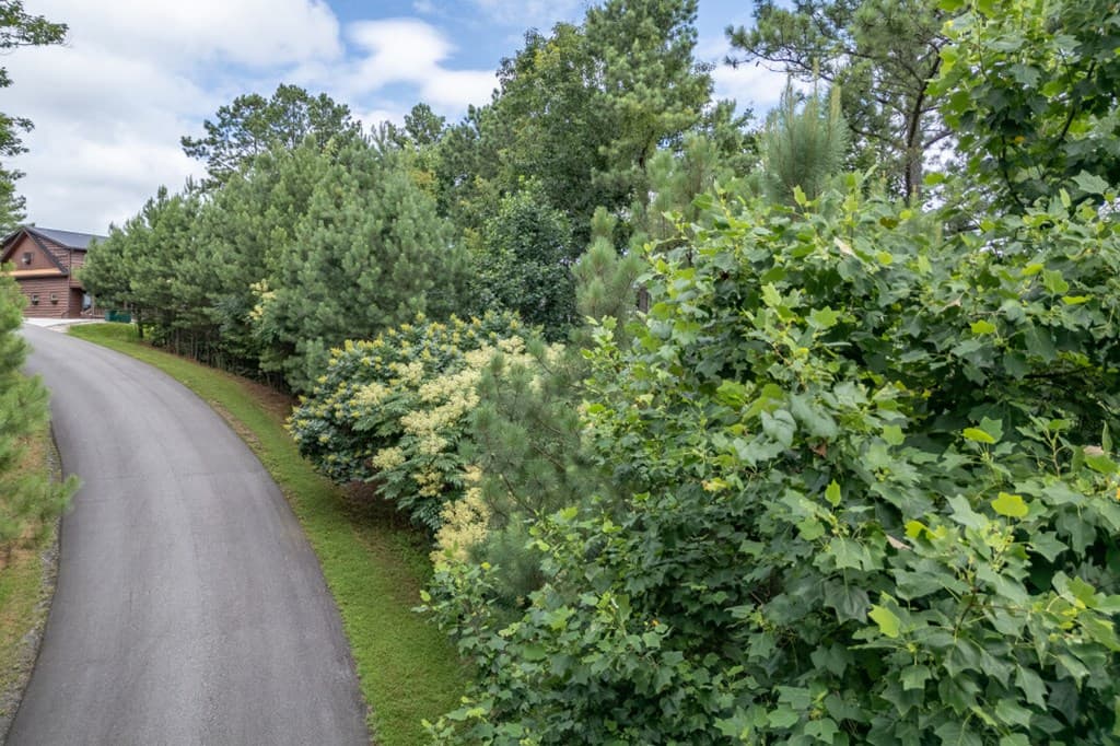 Lot 82 Thirteen Hundred, Blairsville GA 30512 - Photo