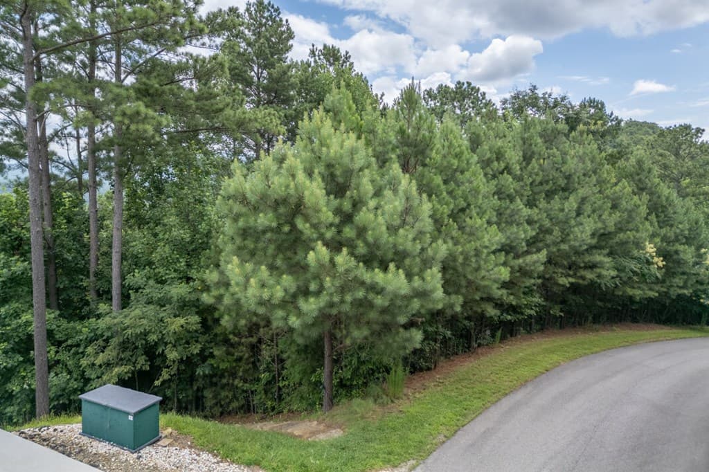 Lot 82 Thirteen Hundred, Blairsville GA 30512 - Photo