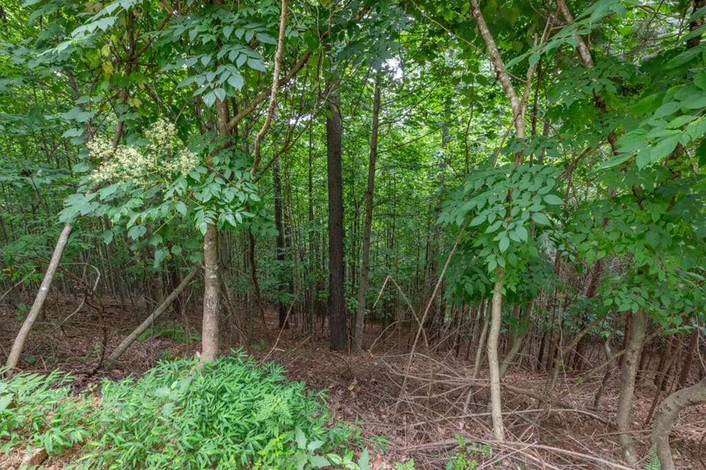 Lot 82 Thirteen Hundred, Blairsville GA 30512 - Photo