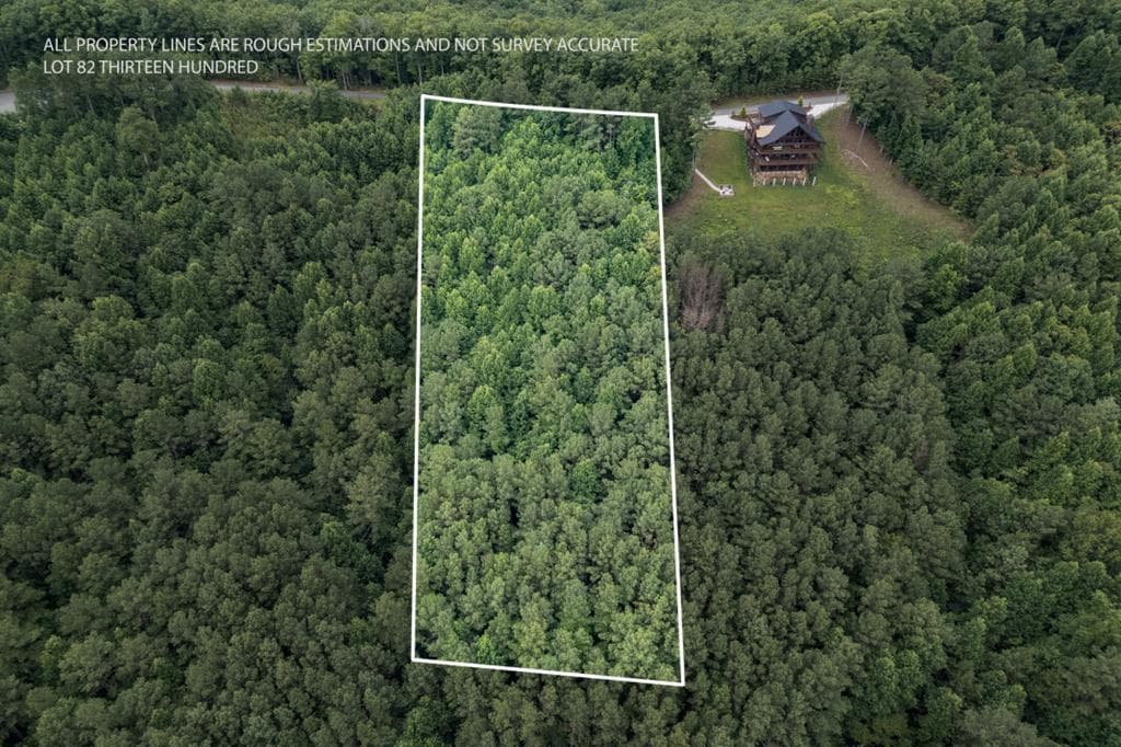Lot 82 Thirteen Hundred, Blairsville GA 30512 - Primary photo