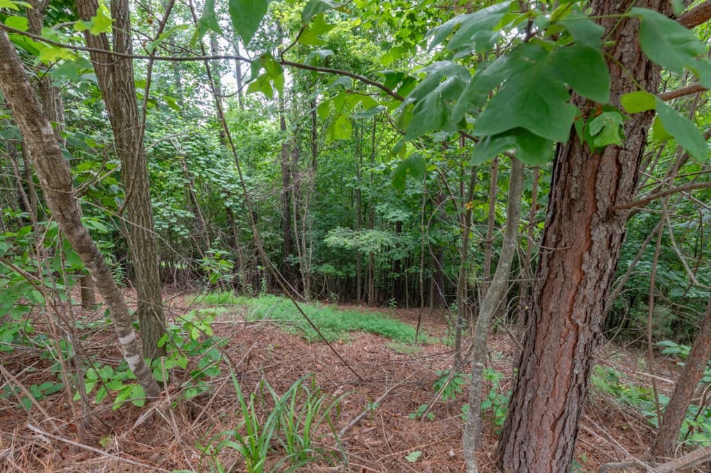 Lot 82 Thirteen Hundred, Blairsville GA 30512 - Photo