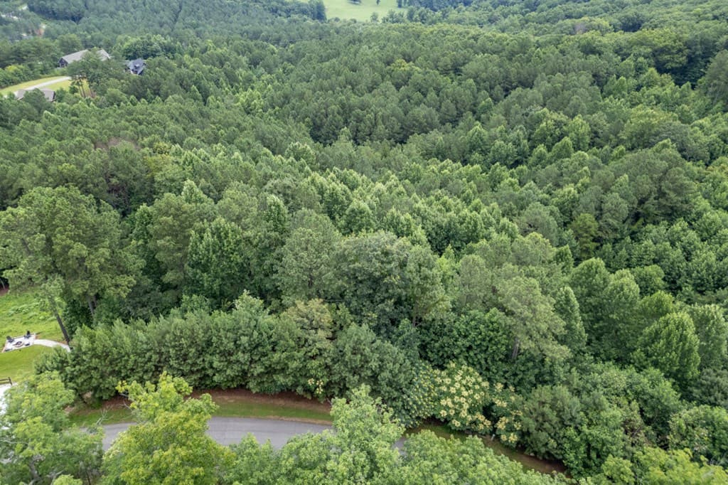Lot 82 Thirteen Hundred, Blairsville GA 30512 - Photo