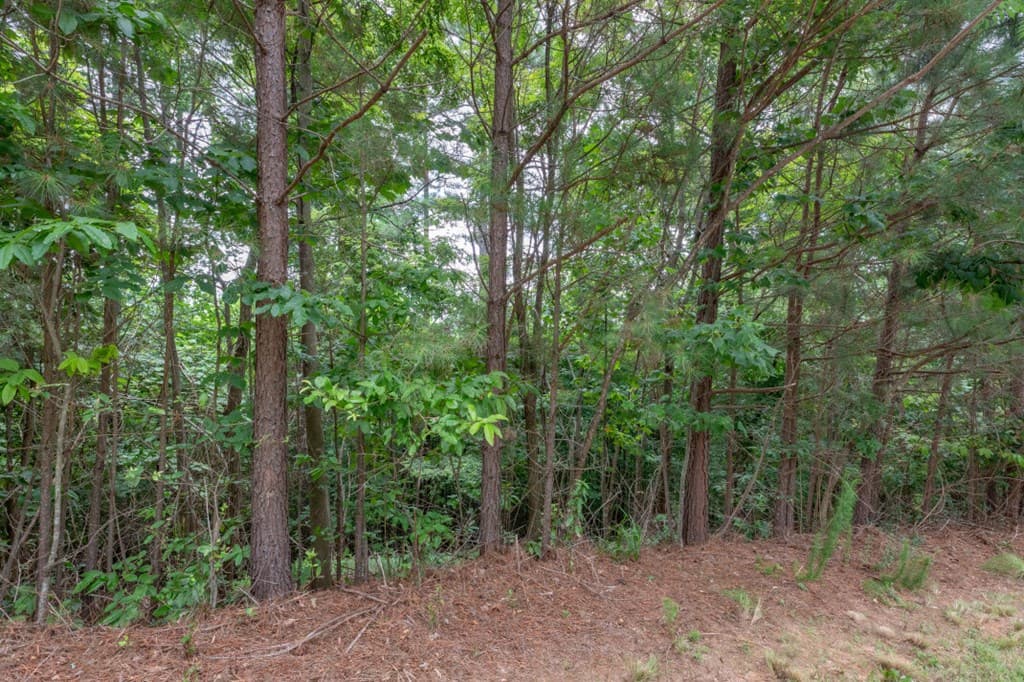 Lot 82 Thirteen Hundred, Blairsville GA 30512 - Photo