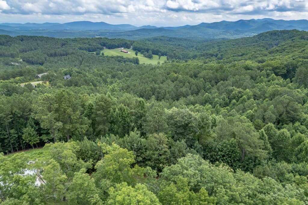 Lot 82 Thirteen Hundred, Blairsville GA 30512 - Photo