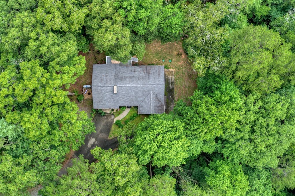 947 Cherry Log Street, Cherry Log GA 30522 - Photo