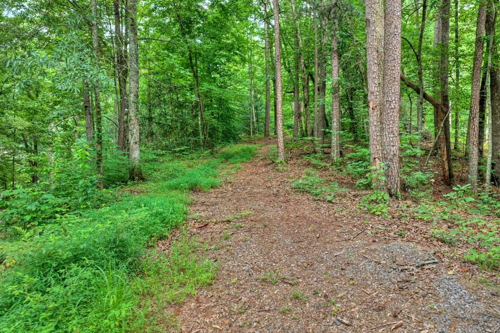947 Cherry Log Street, Cherry Log GA 30522 - Photo