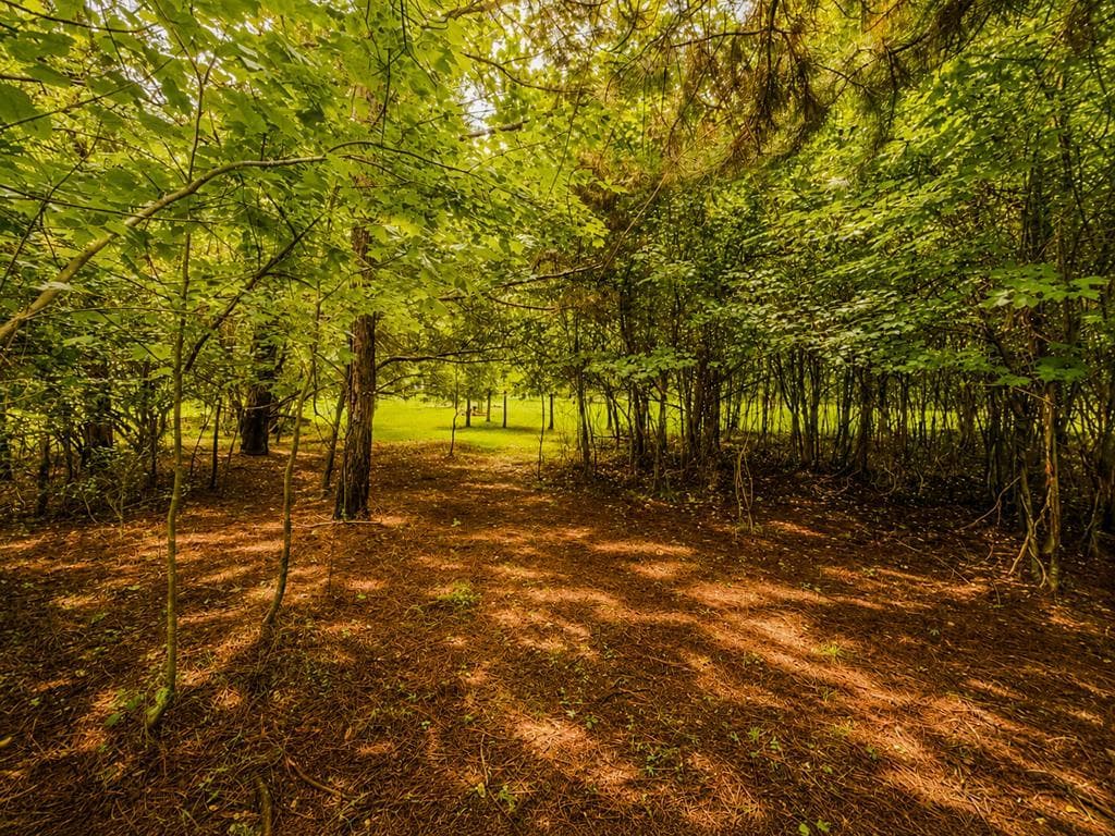 7E Lake Nottely Drive, Blairsville GA 30512 - Photo