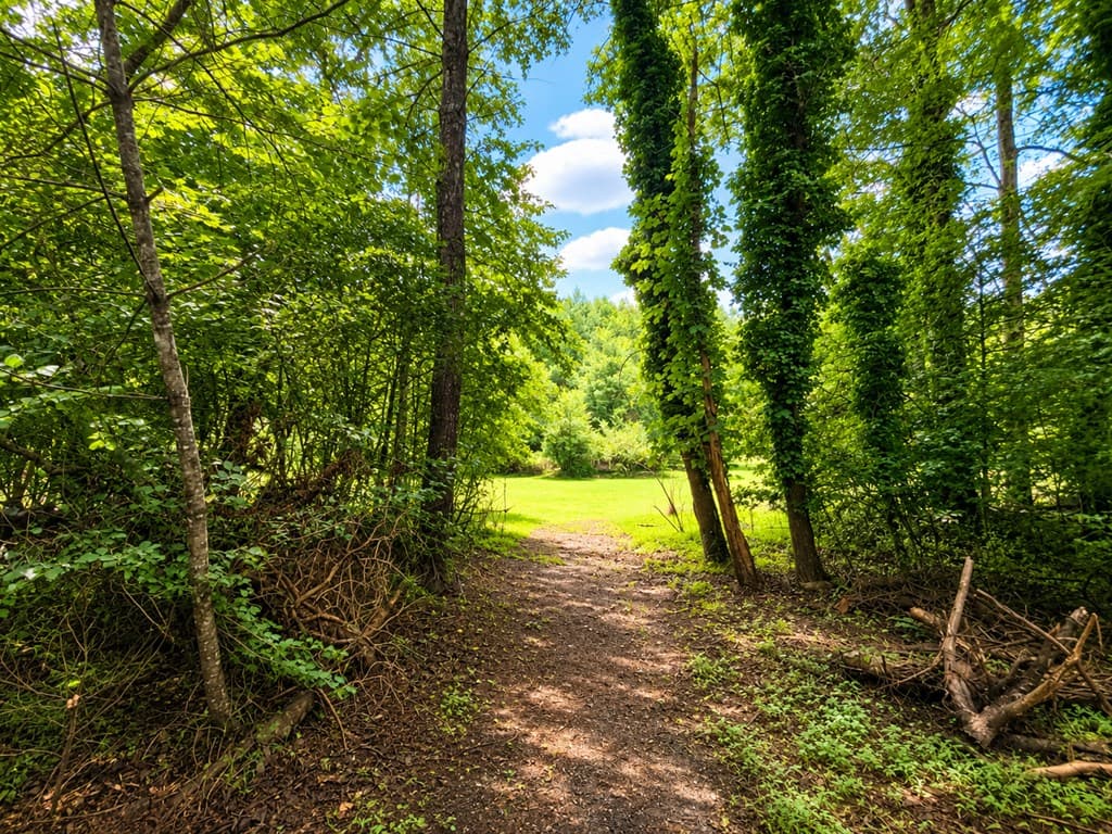 7E Lake Nottely Drive, Blairsville GA 30512 - Photo