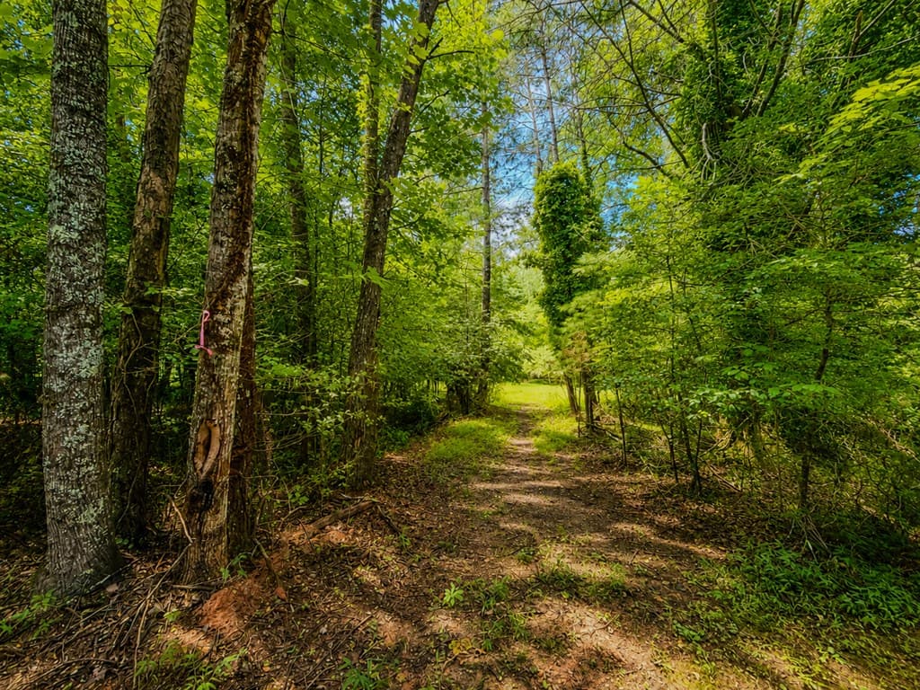 7E Lake Nottely Drive, Blairsville GA 30512 - Photo