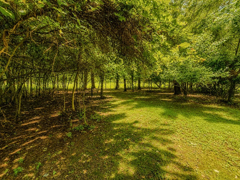 7E Lake Nottely Drive, Blairsville GA 30512 - Photo