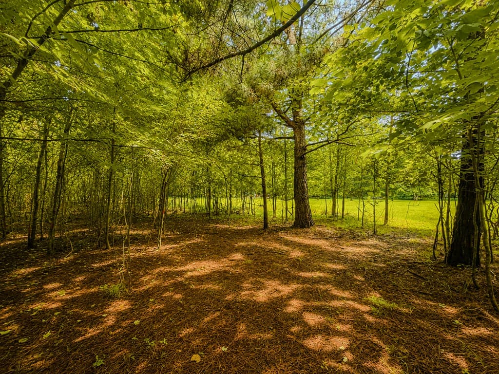 7E Lake Nottely Drive, Blairsville GA 30512 - Photo
