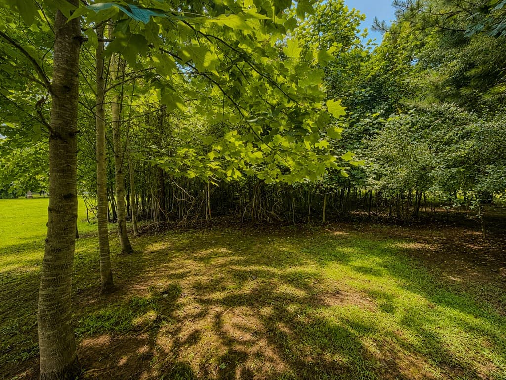7E Lake Nottely Drive, Blairsville GA 30512 - Photo
