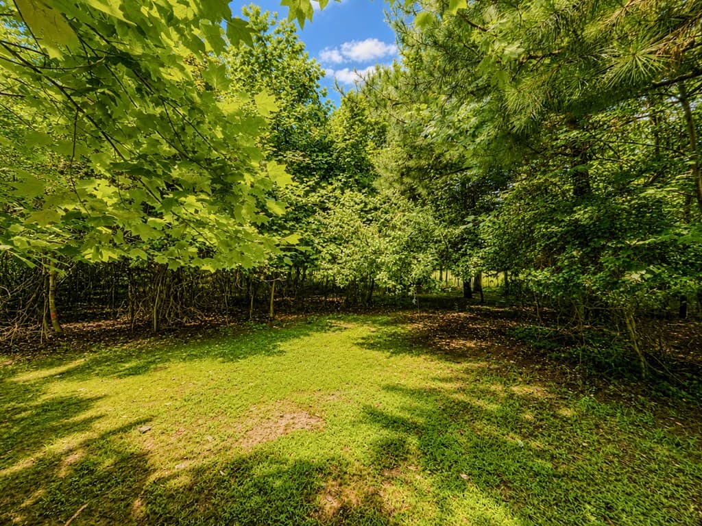 7E Lake Nottely Drive, Blairsville GA 30512 - Photo