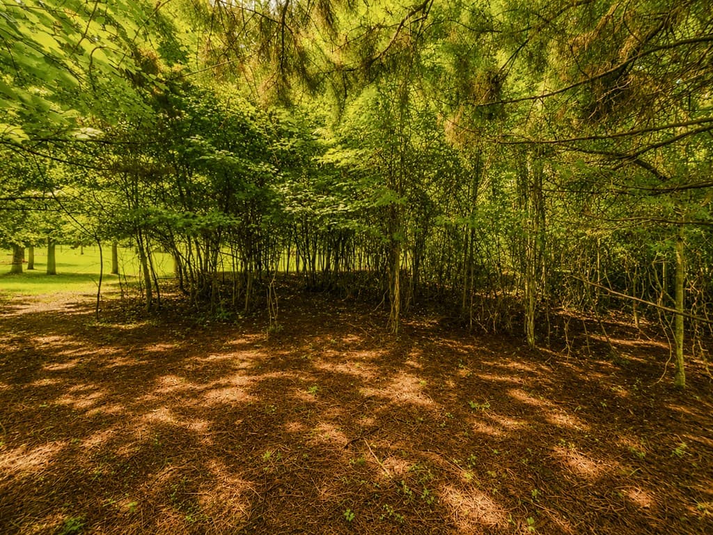 7E Lake Nottely Drive, Blairsville GA 30512 - Photo