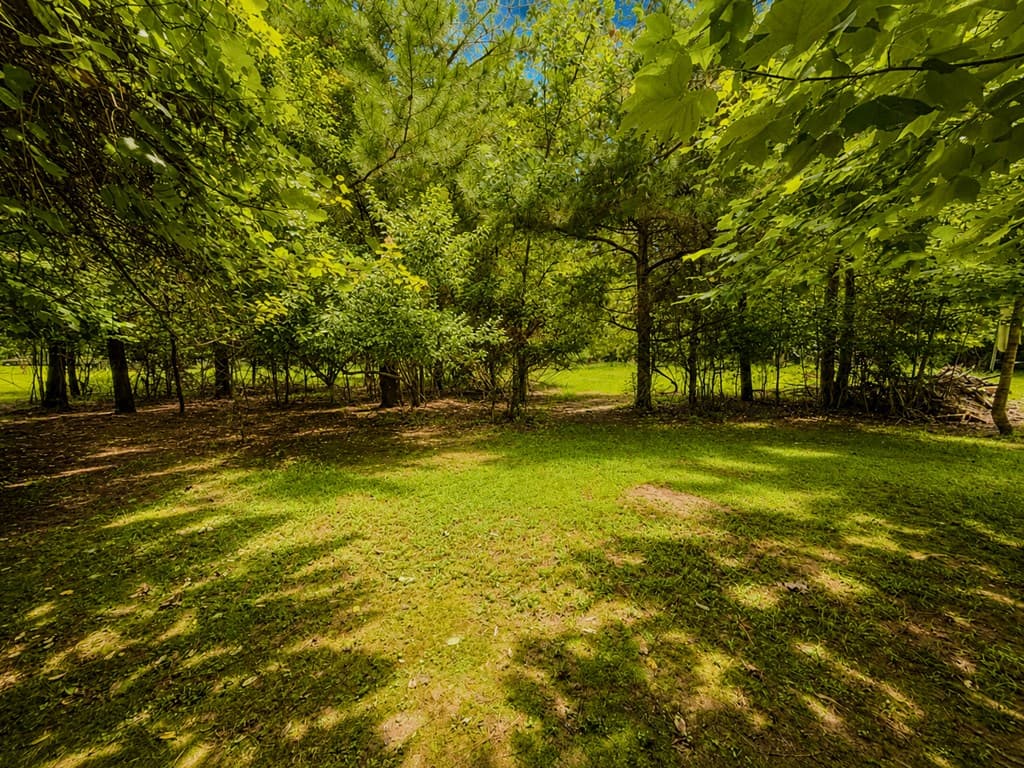 7E Lake Nottely Drive, Blairsville GA 30512 - Photo