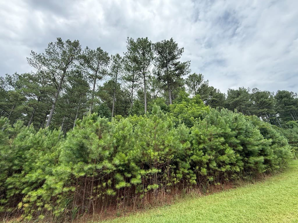LOT 174 The Stables Loop, Blairsville GA 30512 - Photo