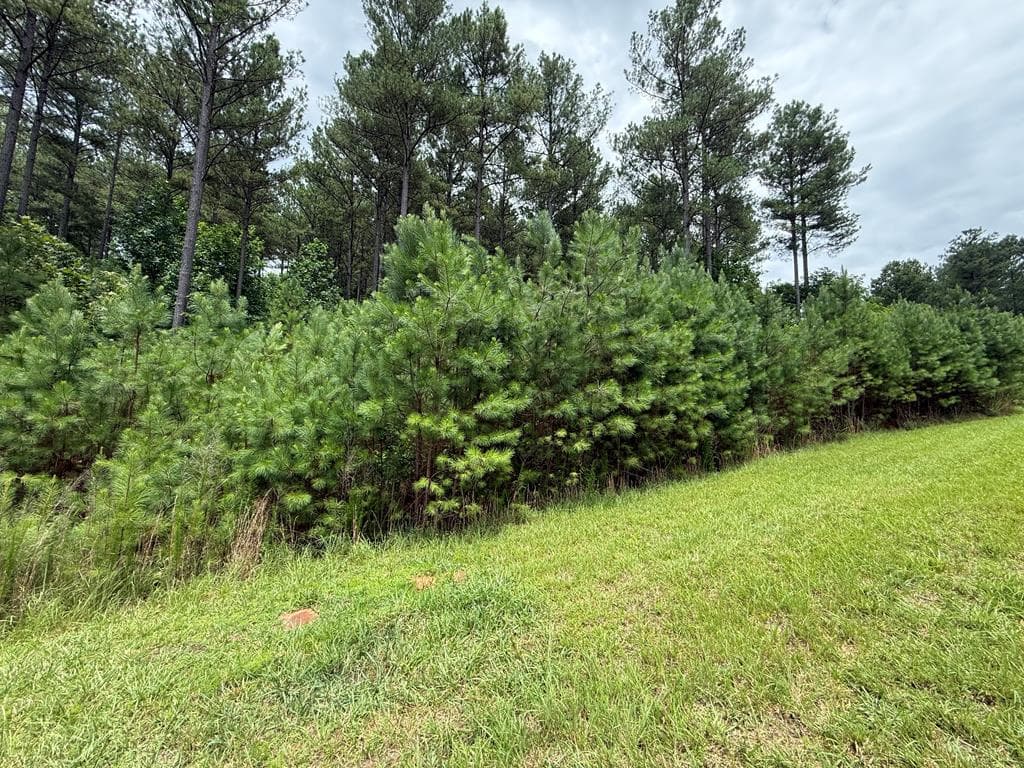 LOT 174 The Stables Loop, Blairsville GA 30512 - Primary photo