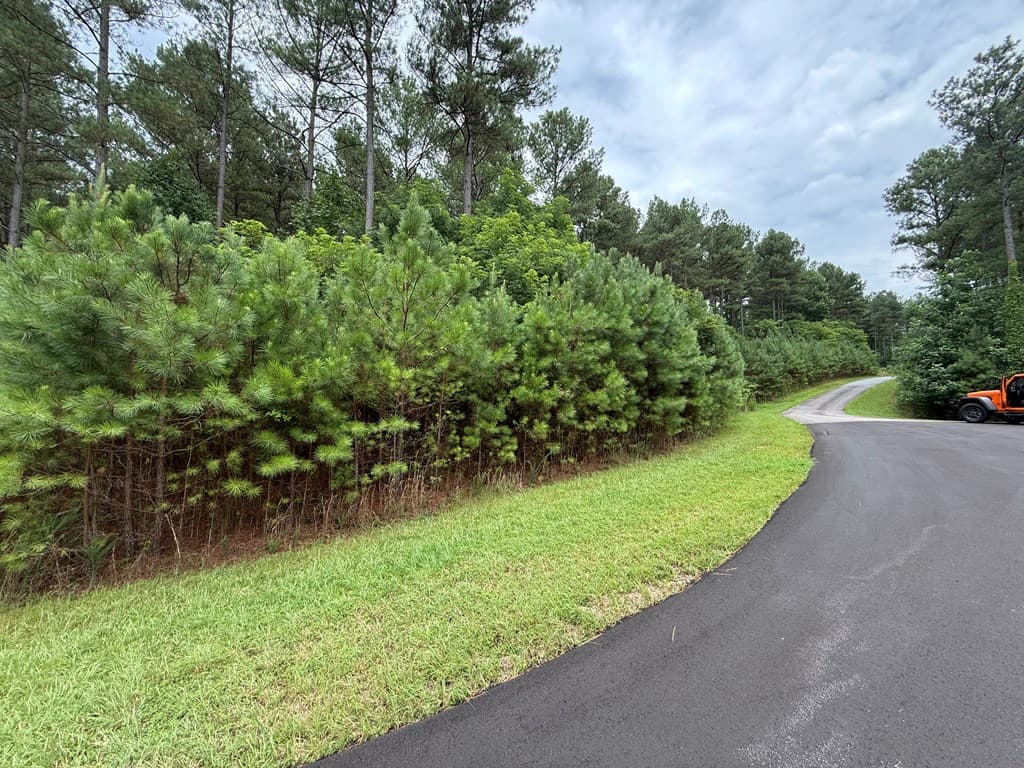 LOT 174 The Stables Loop, Blairsville GA 30512 - Photo