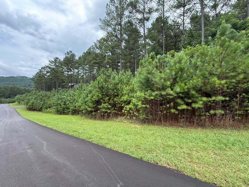 LOT 174 The Stables Loop, Blairsville GA 30512 - Photo