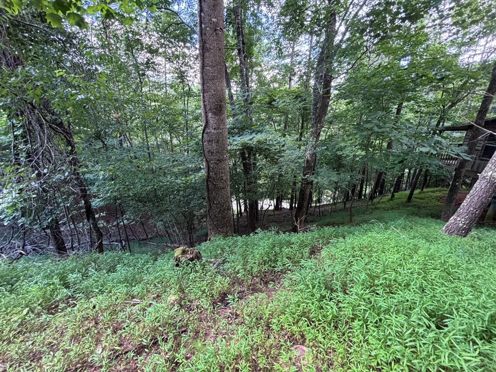 1163 Tipton Springs Road, Morganton GA 30560 - Photo