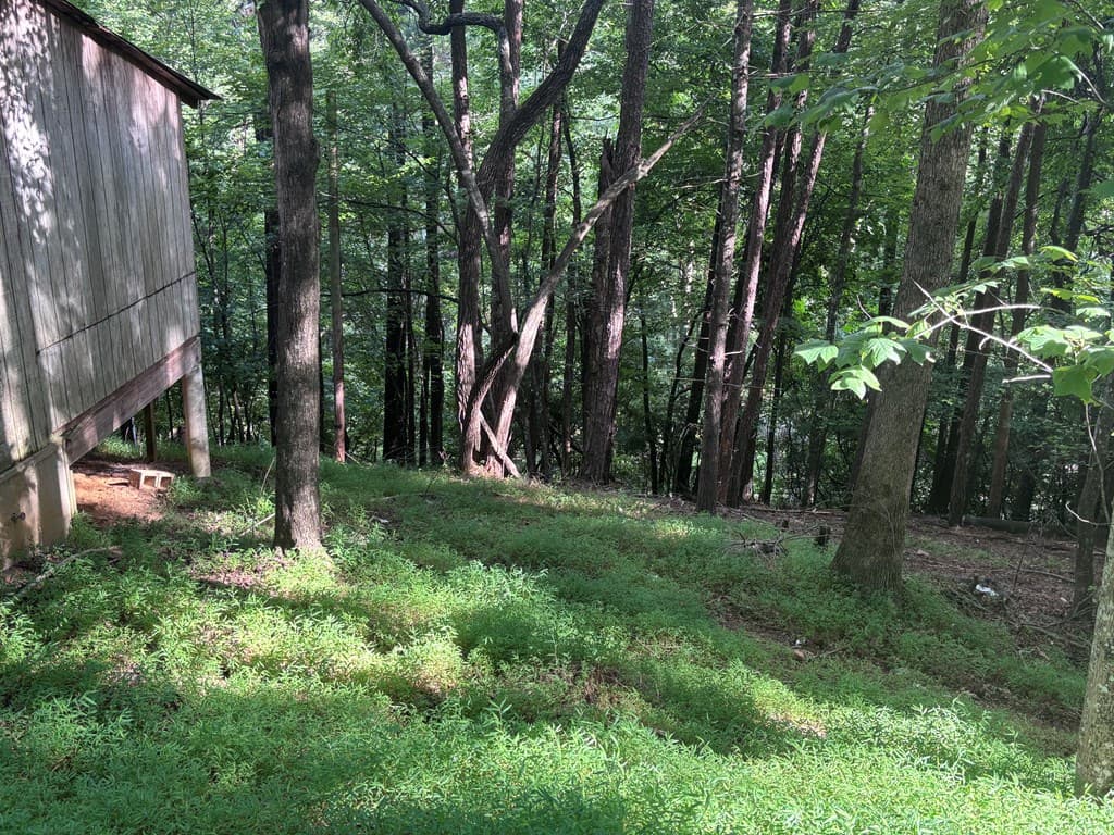 1163 Tipton Springs Road, Morganton GA 30560 - Photo