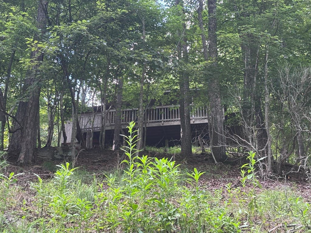 1163 Tipton Springs Road, Morganton GA 30560 - Photo
