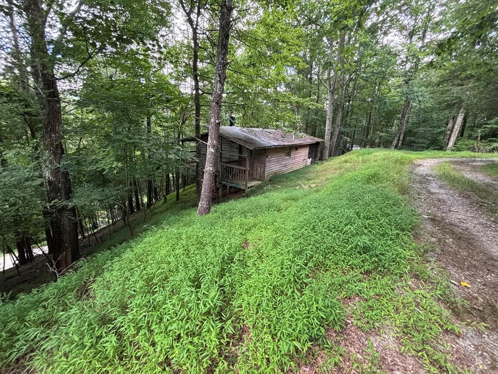 1163 Tipton Springs Road, Morganton GA 30560 - Primary photo