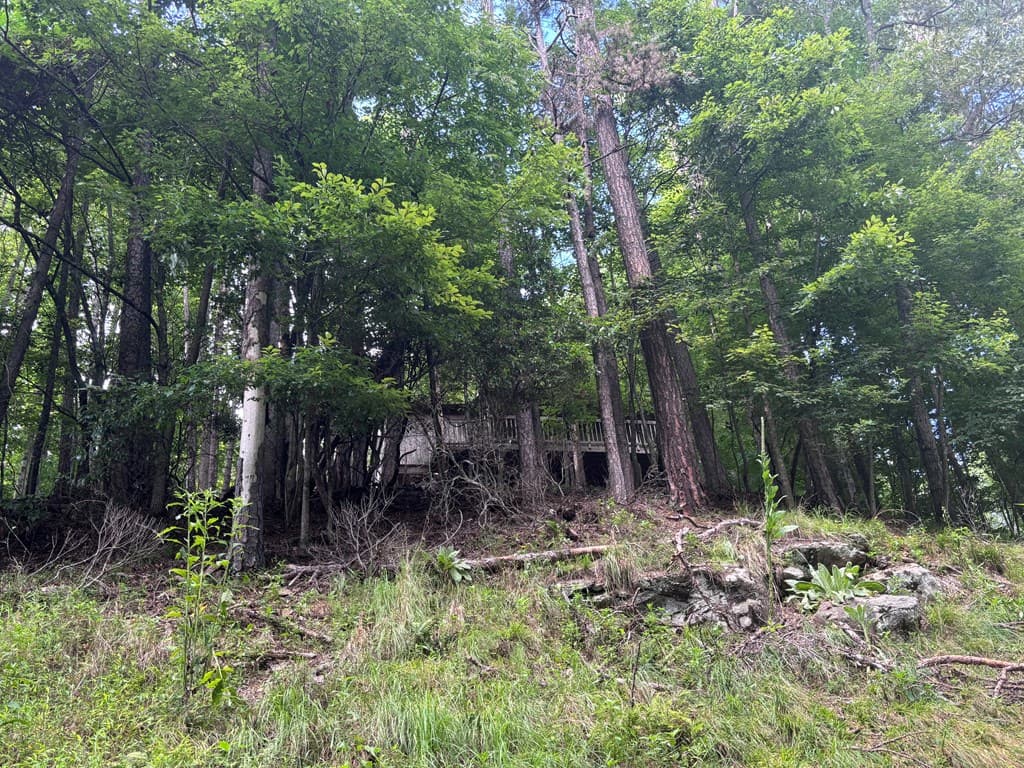 1163 Tipton Springs Road, Morganton GA 30560 - Photo