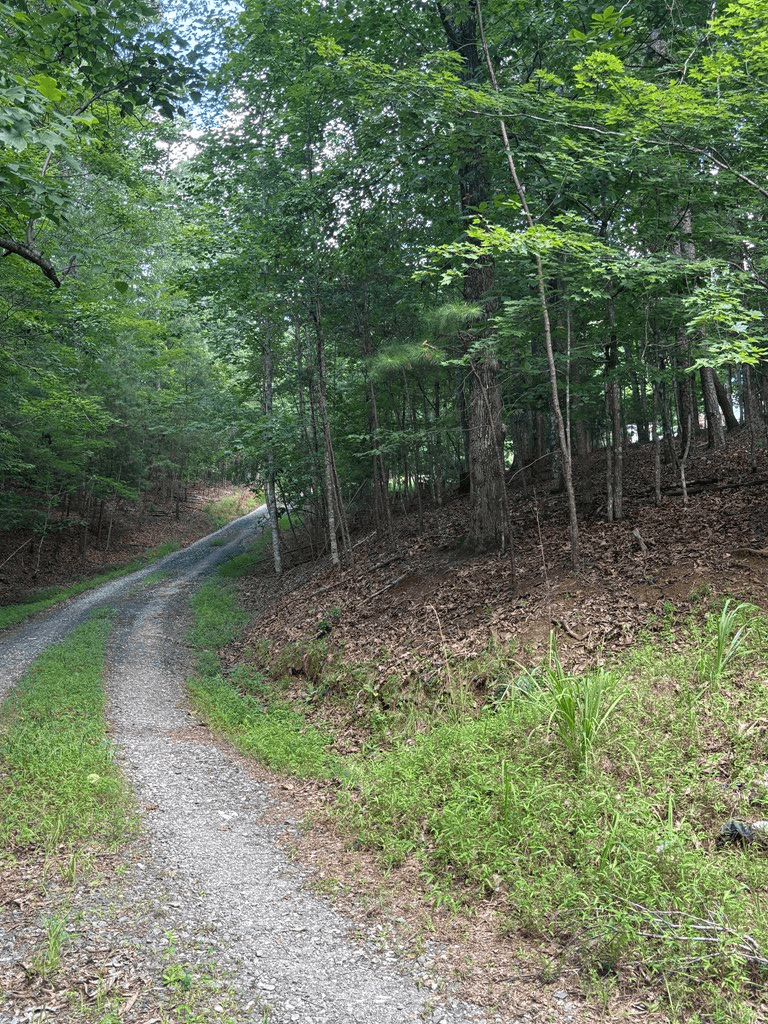 1163 Tipton Springs Road, Morganton GA 30560 - Photo
