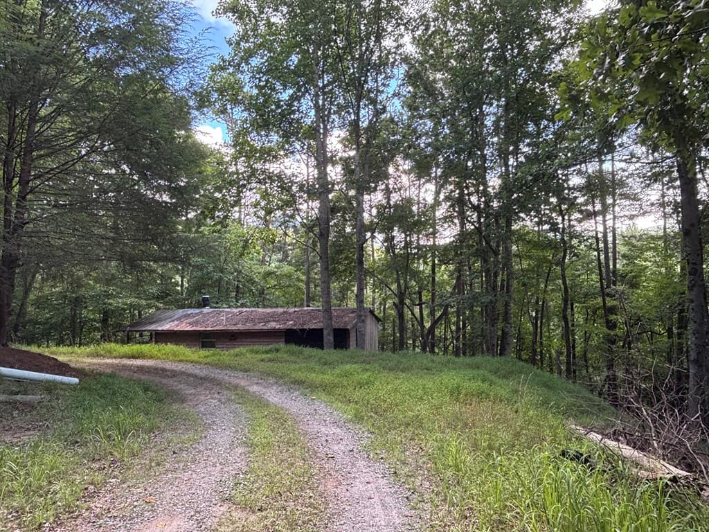 1163 Tipton Springs Road, Morganton GA 30560 - Photo