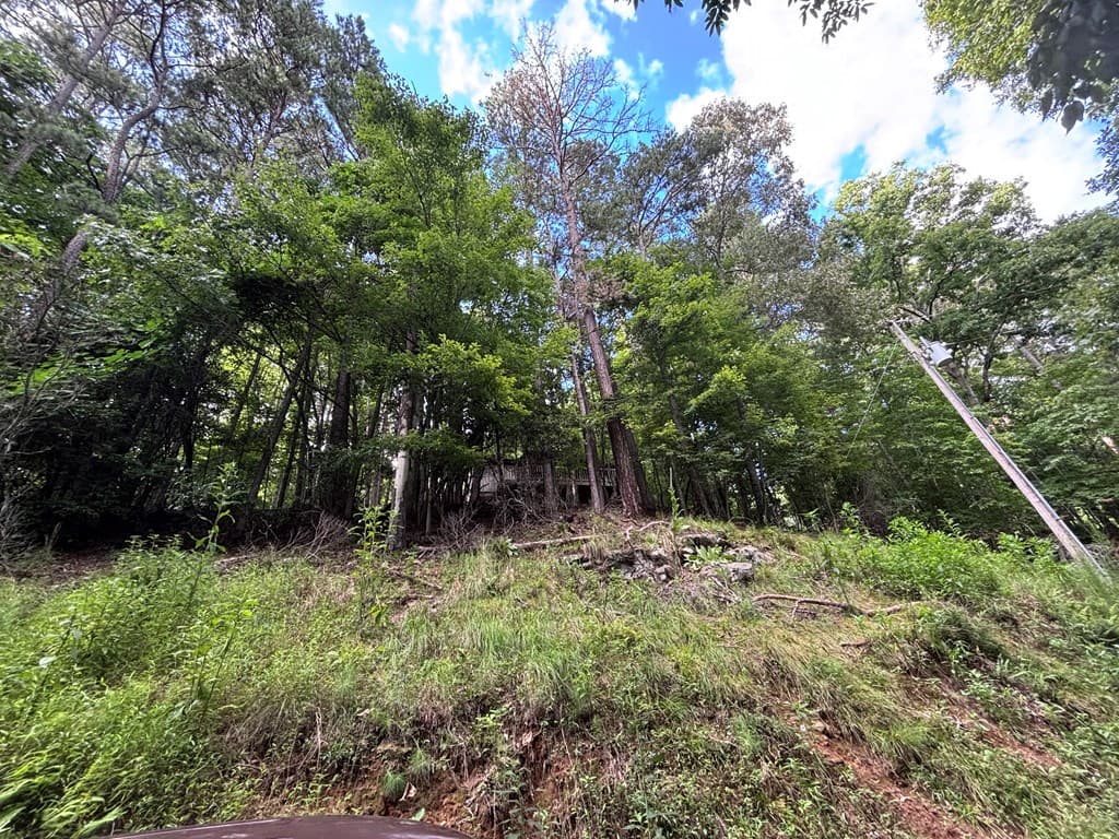 1163 Tipton Springs Road, Morganton GA 30560 - Photo