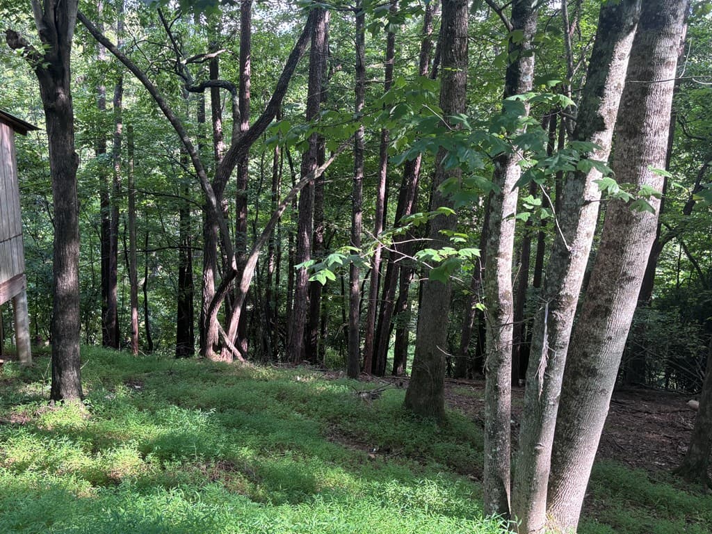 1163 Tipton Springs Road, Morganton GA 30560 - Photo