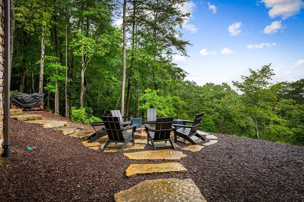 351 Black Dog Trail, Morganton GA 30560 - Photo