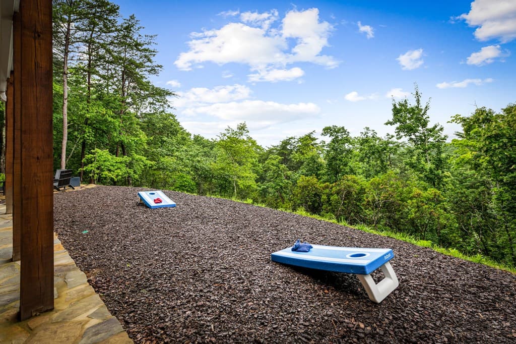 351 Black Dog Trail, Morganton GA 30560 - Photo