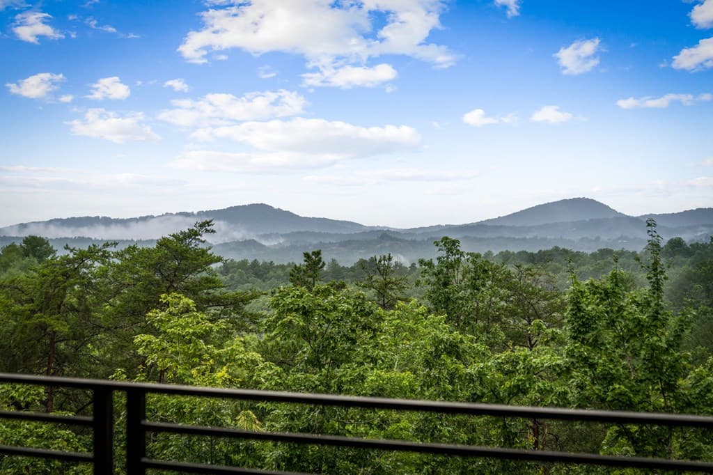 351 Black Dog Trail, Morganton GA 30560 - Photo