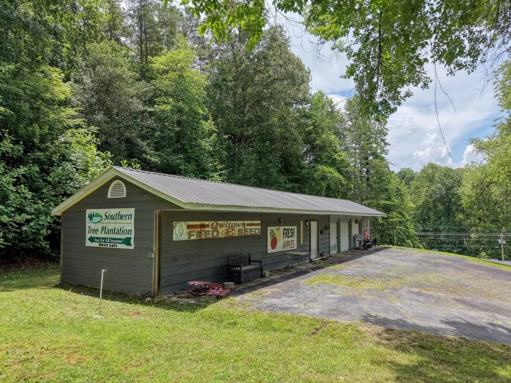 119 Satterfield Place, Blairsville GA 30512 - Photo