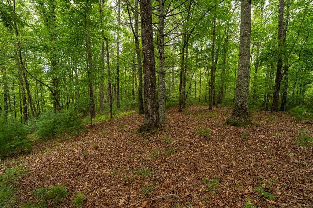48 Puma Lane, Murphy NC 28906 - Photo
