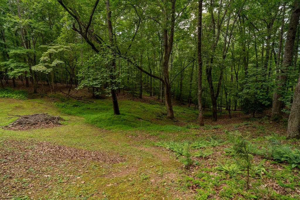 48 Puma Lane, Murphy NC 28906 - Photo