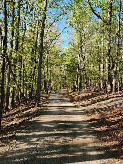832 Scenic Mountain View Road, Blue Ridge GA 30512 - Photo
