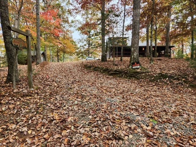 832 Scenic Mountain View Road, Blue Ridge GA 30512 - Photo