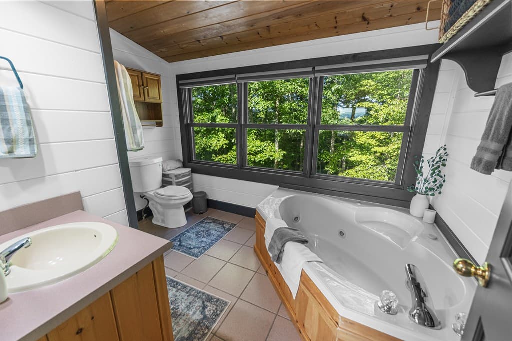 832 Scenic Mountain View Road, Blue Ridge GA 30512 - Photo