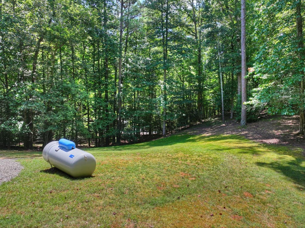 199 Hillsdale Drive, Ellijay GA 30540 - Photo