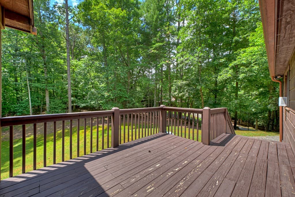 199 Hillsdale Drive, Ellijay GA 30540 - Photo