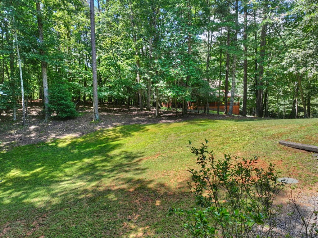 199 Hillsdale Drive, Ellijay GA 30540 - Photo