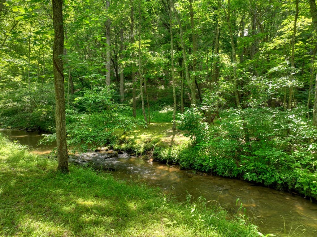 316 Pigeon Creek Road, Blue Ridge GA 30513 - Photo
