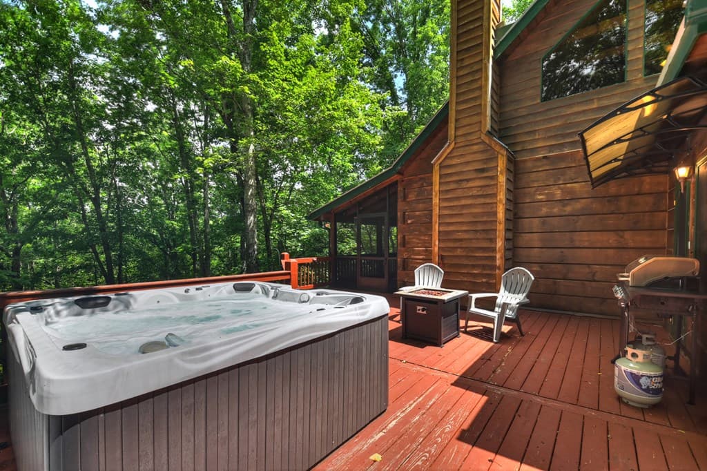 316 Pigeon Creek Road, Blue Ridge GA 30513 - Photo