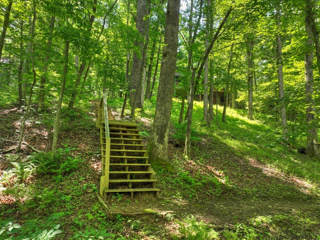 316 Pigeon Creek Road, Blue Ridge GA 30513 - Photo