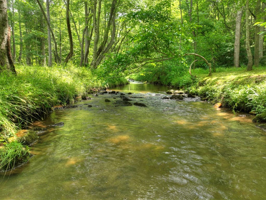316 Pigeon Creek Road, Blue Ridge GA 30513 - Photo